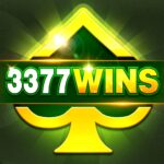 3377 Win